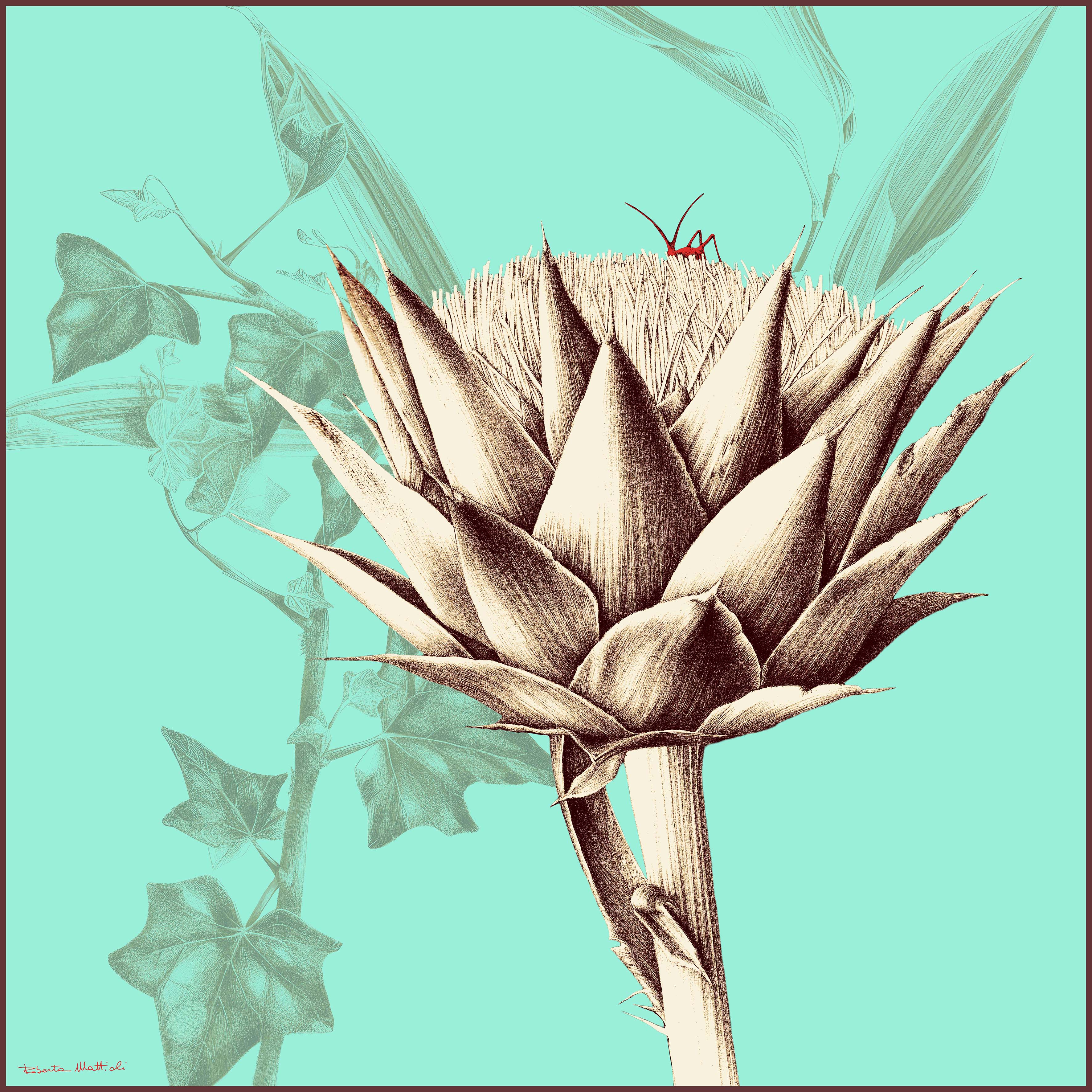 Artichokes - 90x90