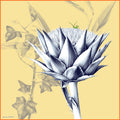 Artichokes - 90x90