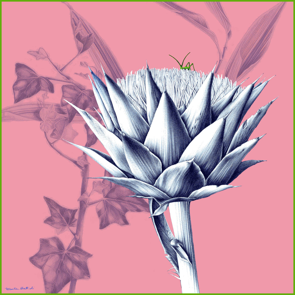Artichokes - 90x90