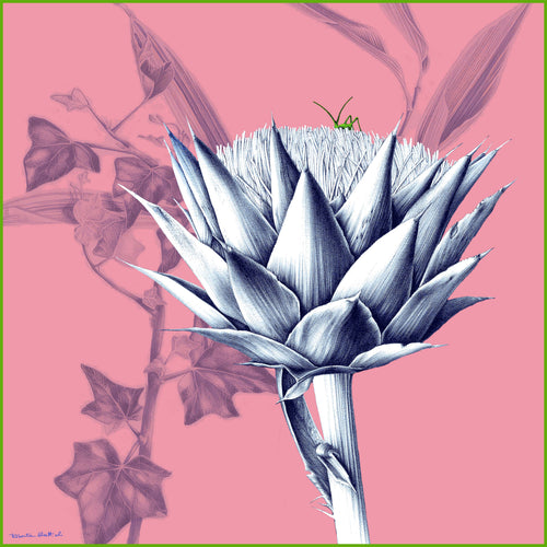 Artichokes - 90x90
