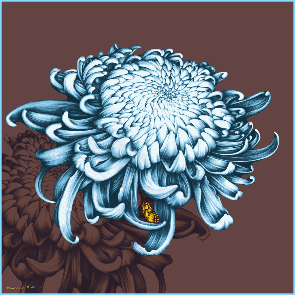 Chrysanthemum - 90x90