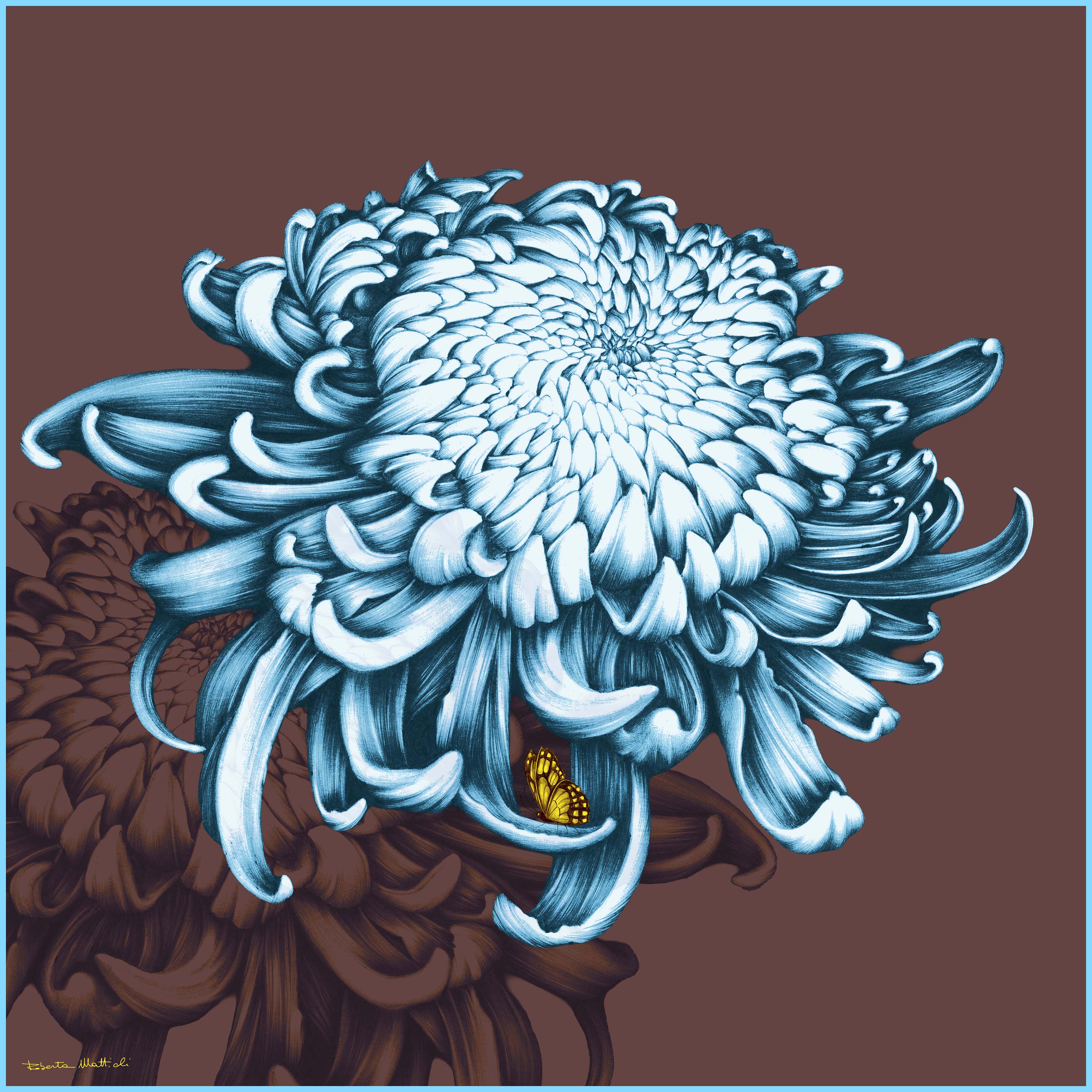 Chrysanthemum - 90x90