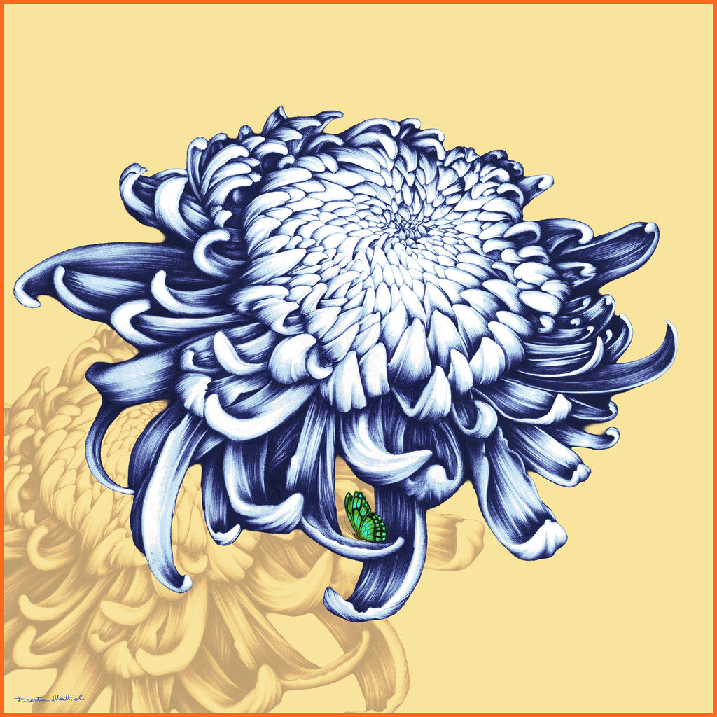 Chrysanthemum - 90x90