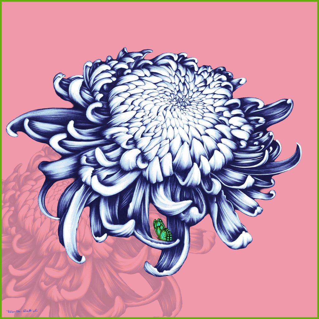 Chrysanthemum - 90x90