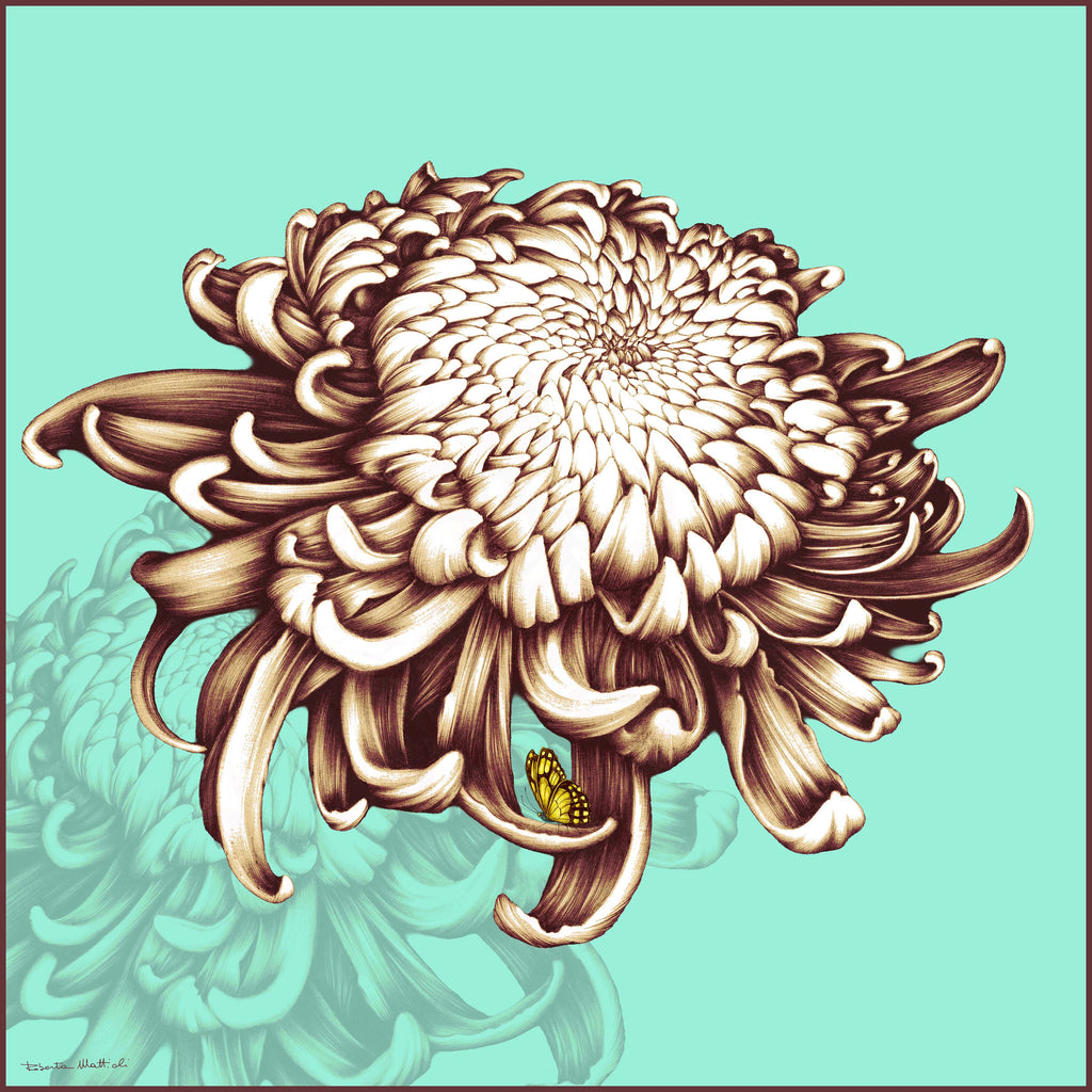 Chrysanthemum - 90x90