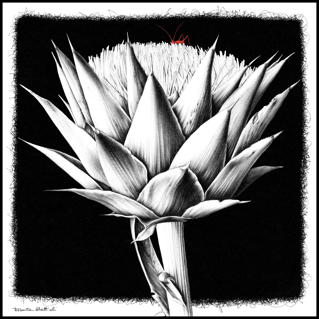 Artichokes - 60x60