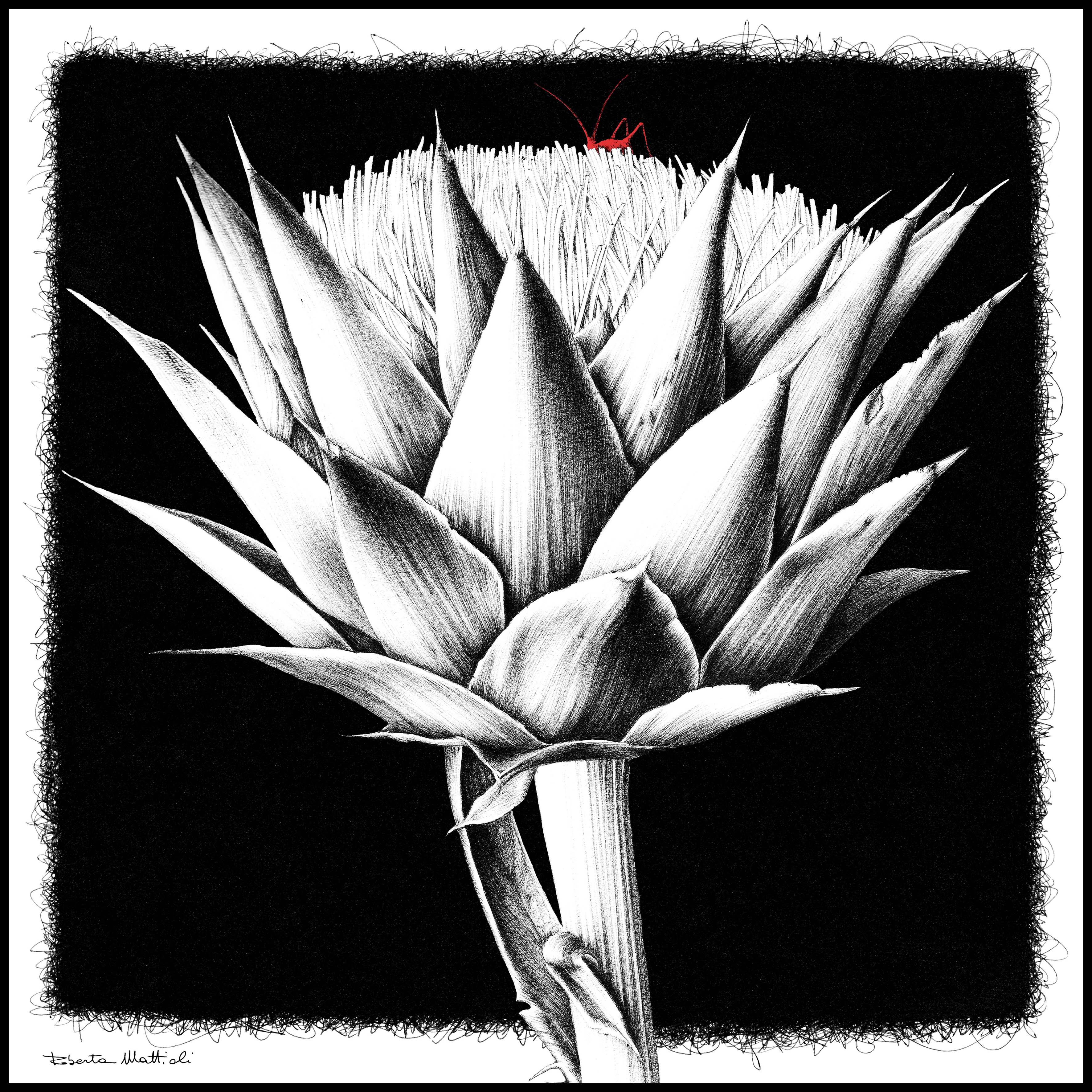 Artichokes - 60x60