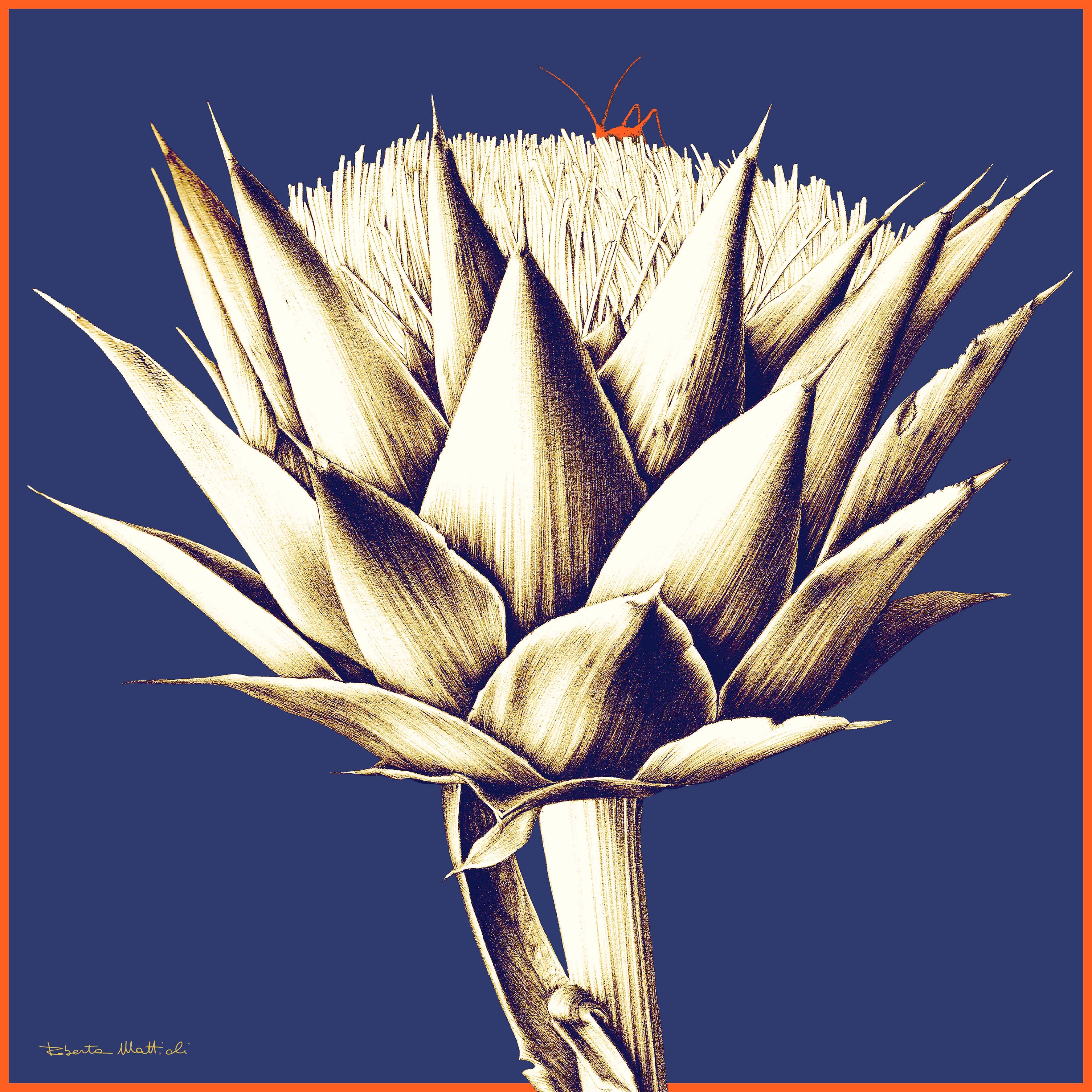 Artichokes - 60x60