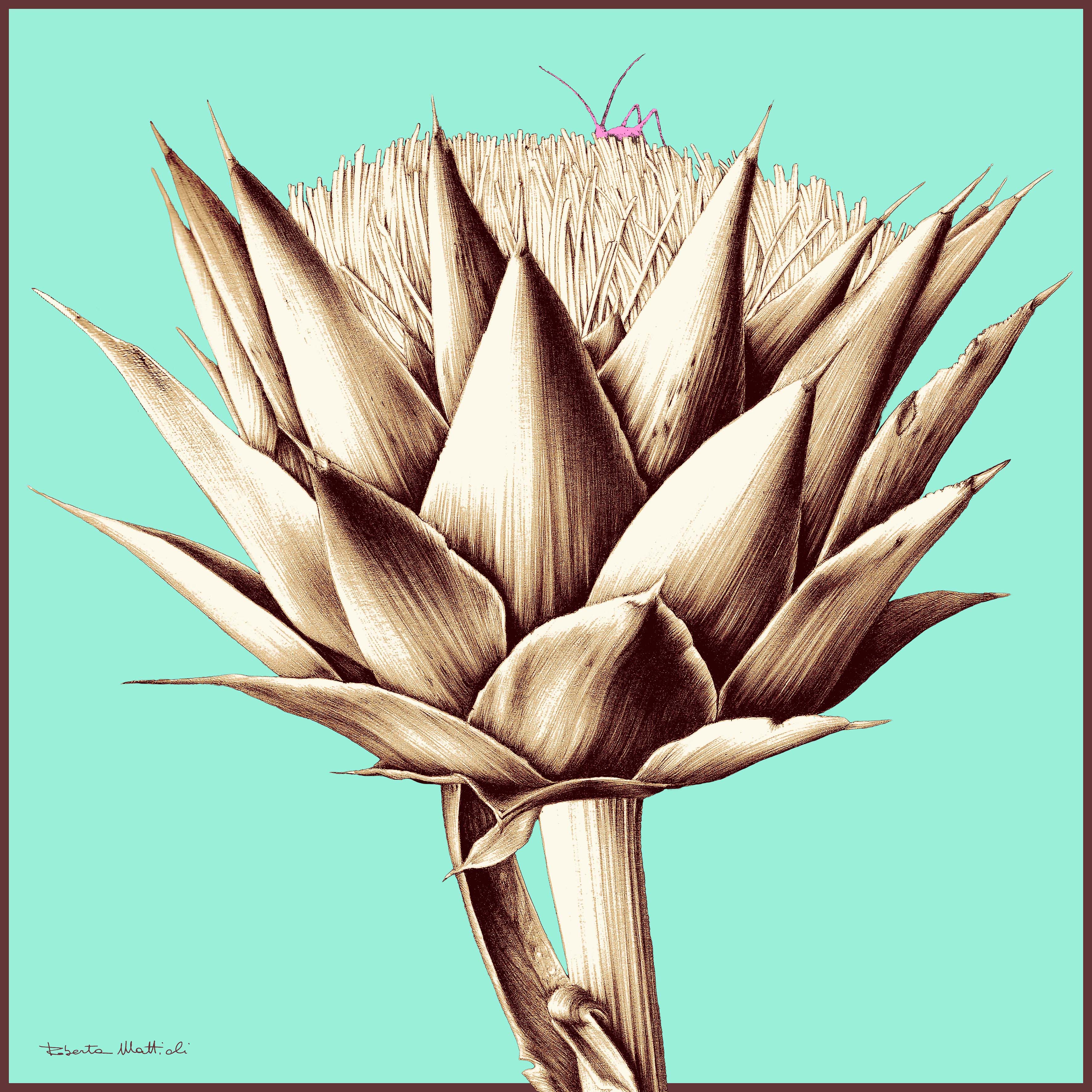 Artichokes - 60x60