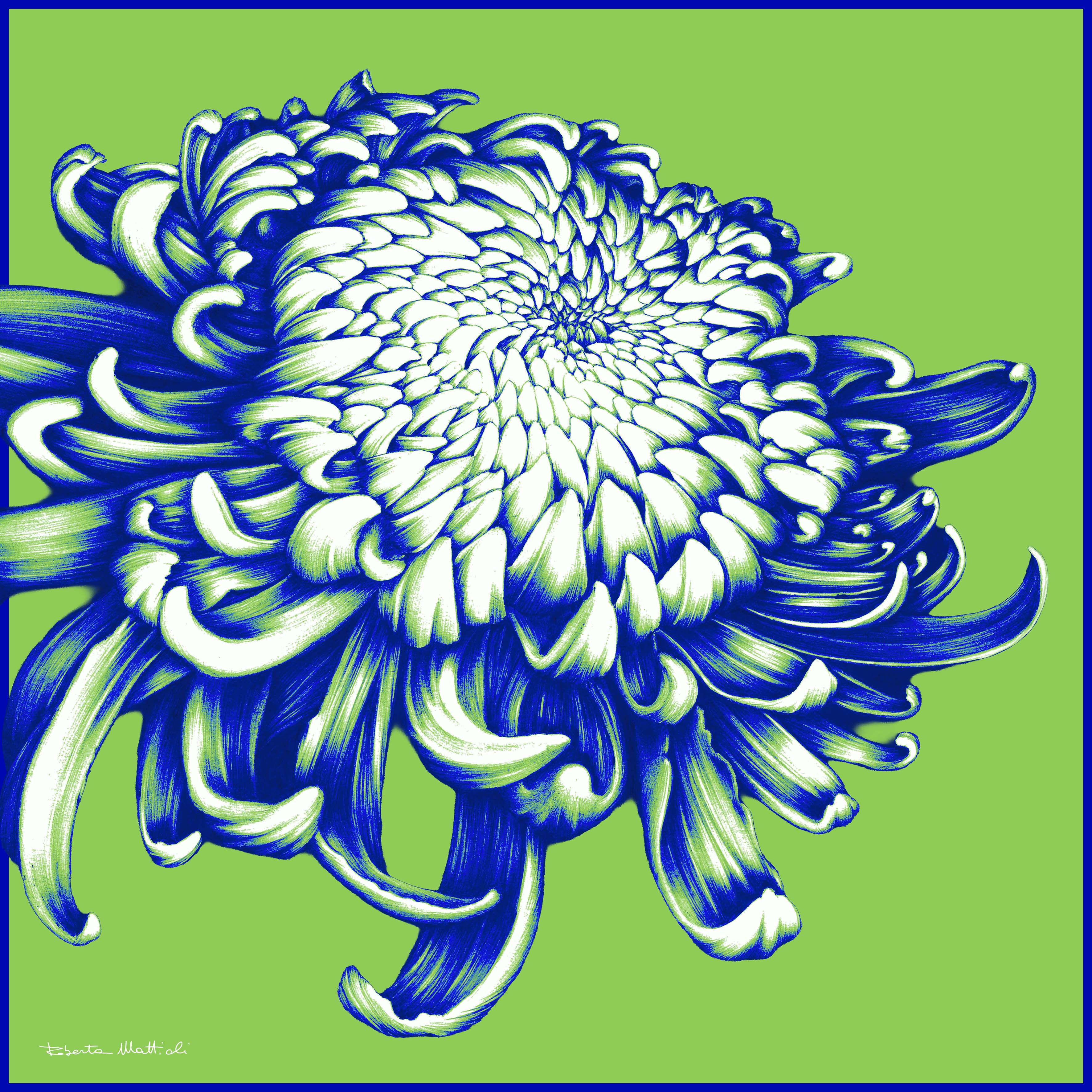 Chrysanthemum - 60x60
