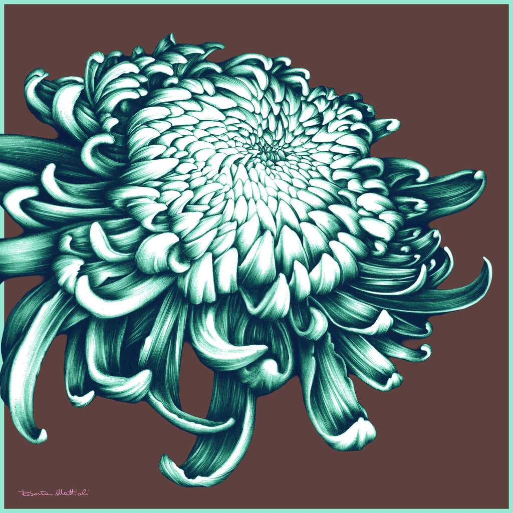 Chrysanthemum - 60x60