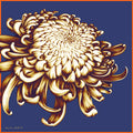Chrysanthemum - 60x60
