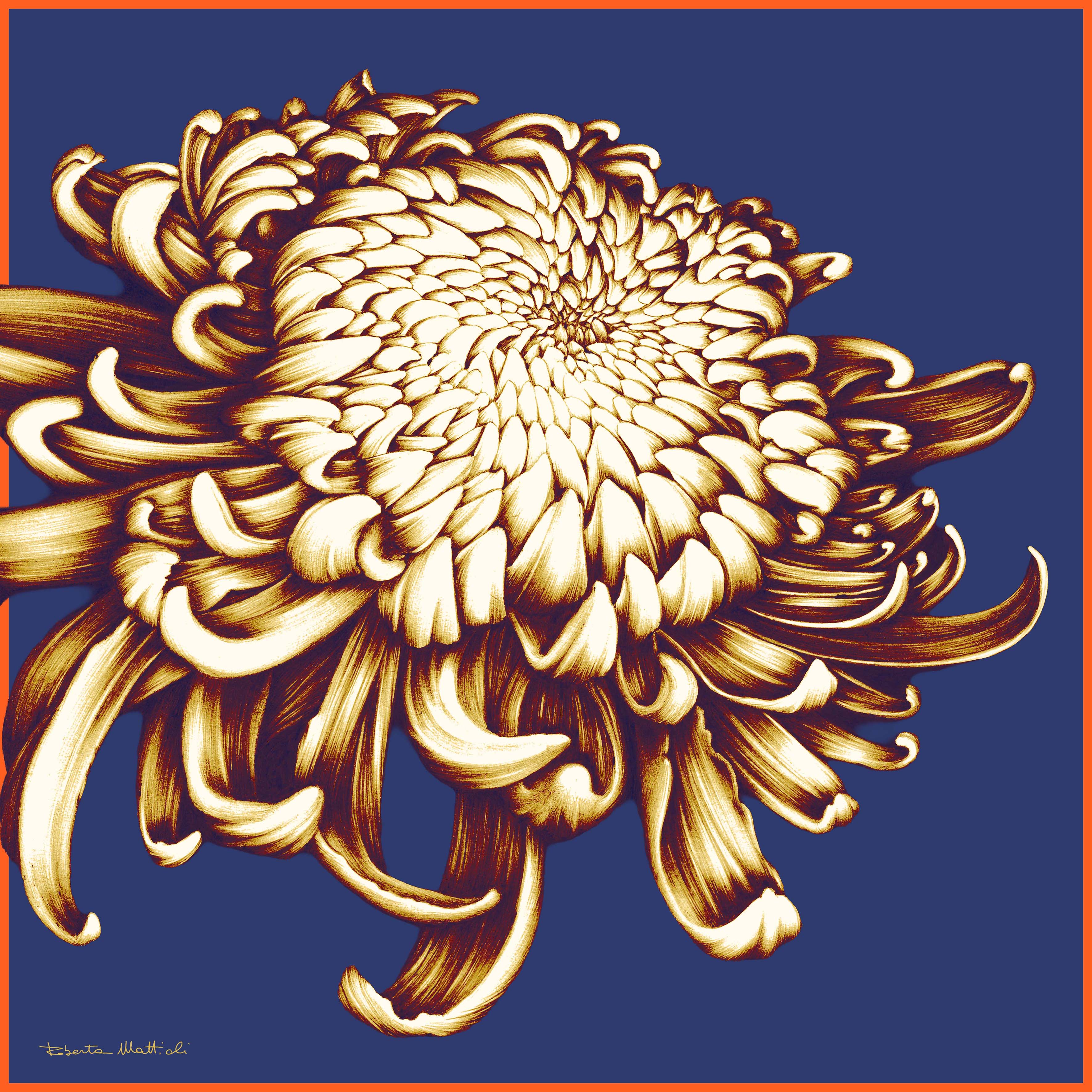 Chrysanthemum - 60x60