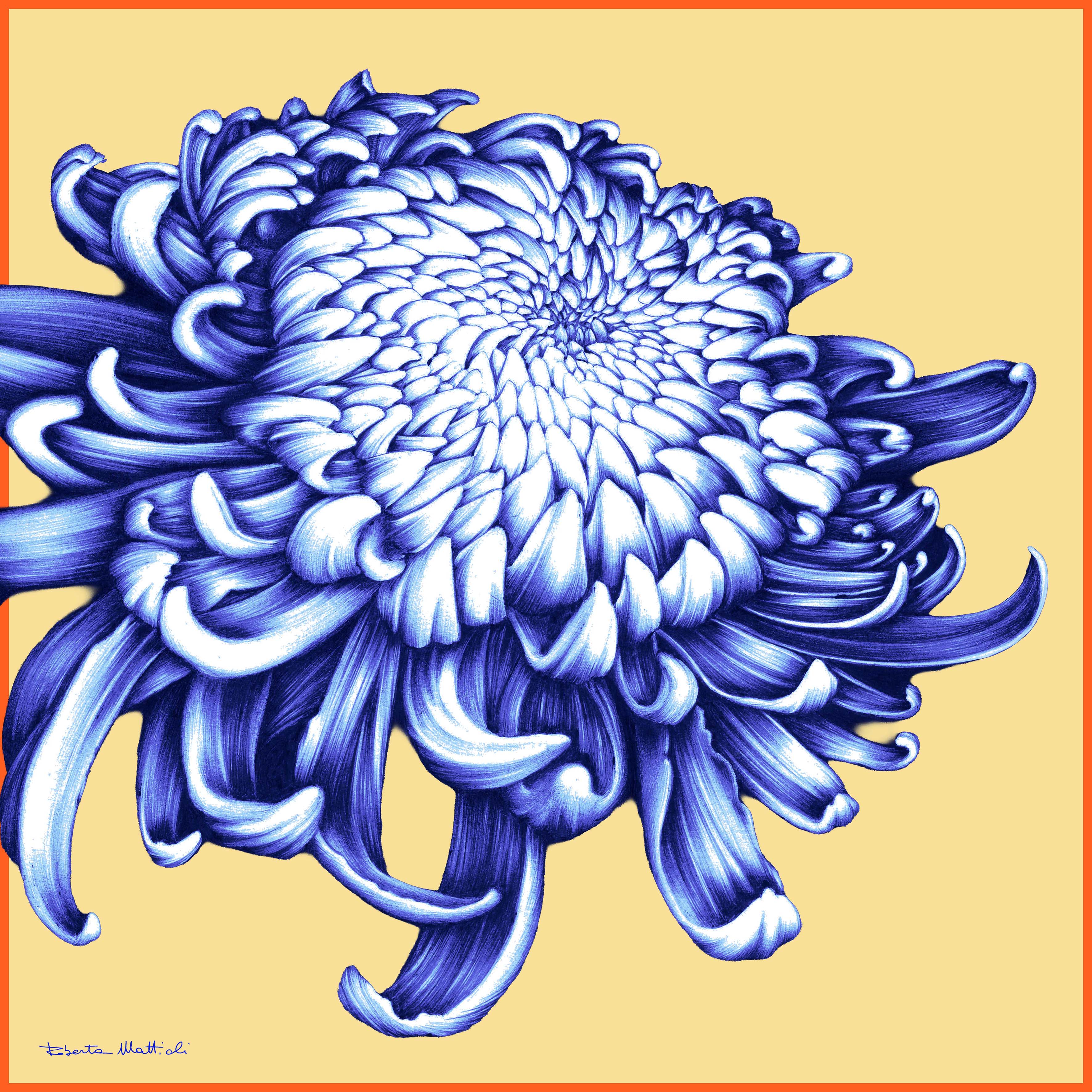 Chrysanthemum - 60x60