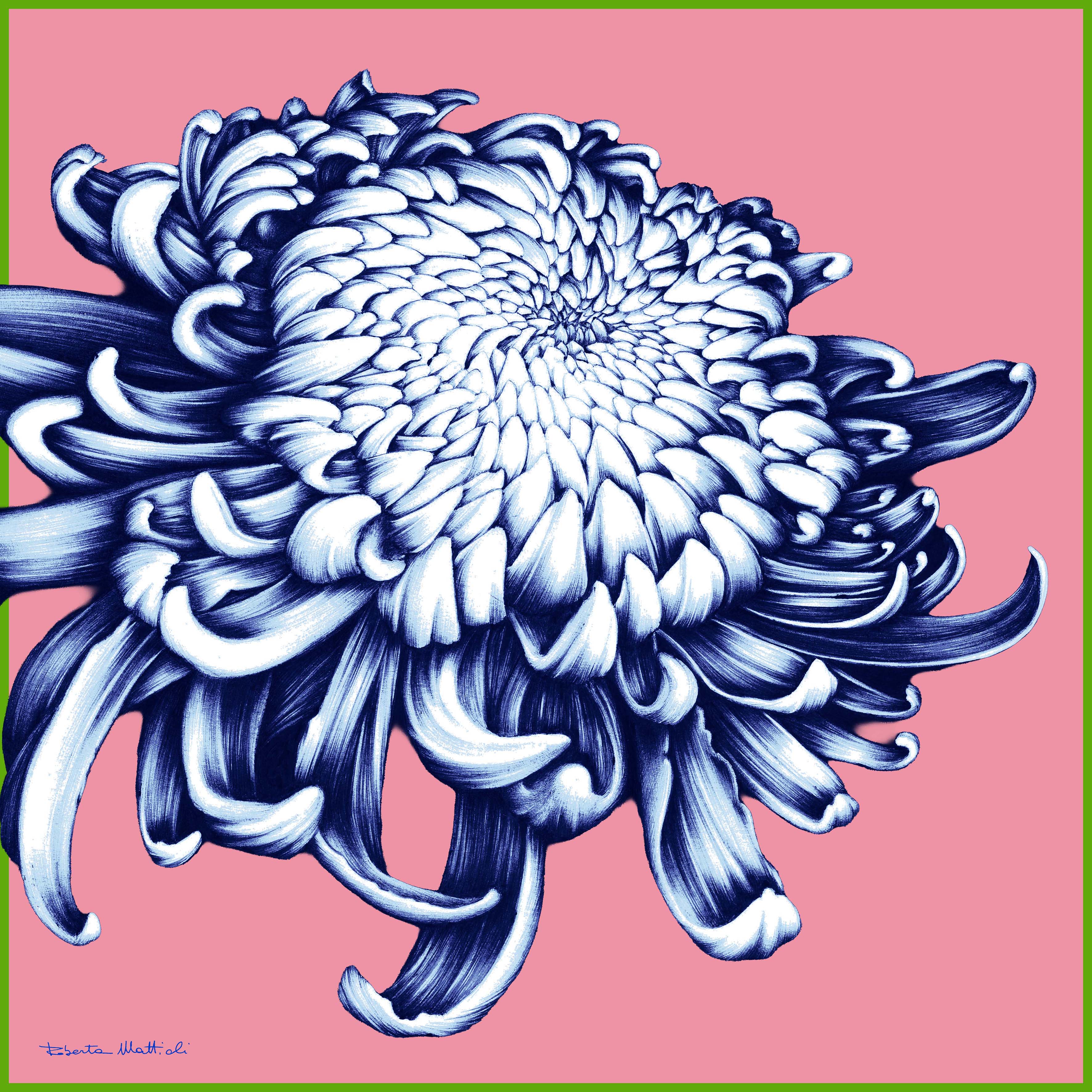 Chrysanthemum - 60x60