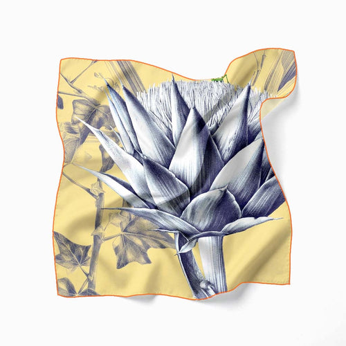 Artichokes - 90x90